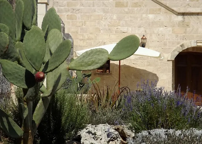 马塞利亚卡里亚尼农家乐 博尔加涅