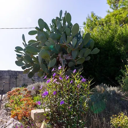 Masseria Caliani Farm stay Borgagne