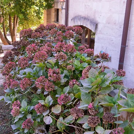 Masseria Caliani Farm stay *