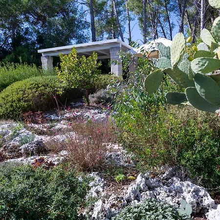 Masseria Caliani Gospodarstwo agroturystyczne