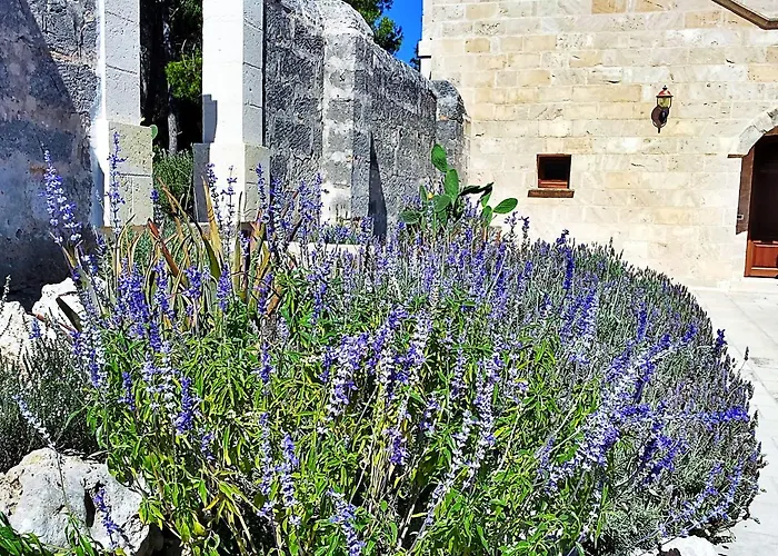 Çiftlik konaklama Masseria Caliani *